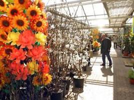 Sortiment und Service überzeugen : Das sind die beliebtesten Gartenmärkte